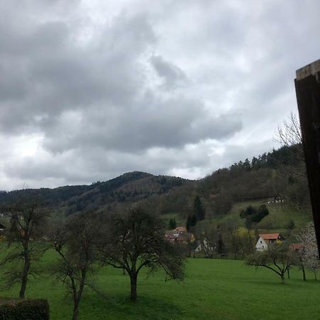 Petit Week End Dans La Vallee Breitenbach-Haut-Rhin Ngoại thất bức ảnh