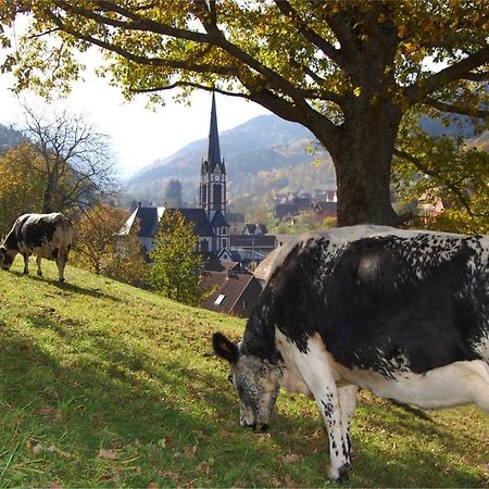 Petit Week End Dans La Vallee Breitenbach-Haut-Rhin Ngoại thất bức ảnh