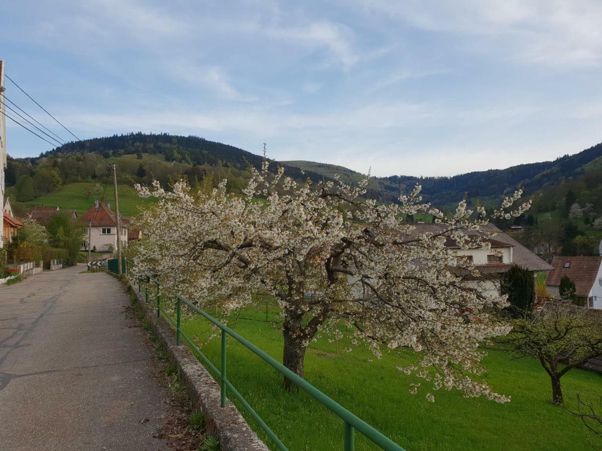 Petit Week End Dans La Vallee Breitenbach-Haut-Rhin Ngoại thất bức ảnh