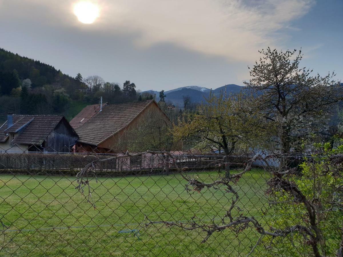 Petit Week End Dans La Vallee Breitenbach-Haut-Rhin Ngoại thất bức ảnh