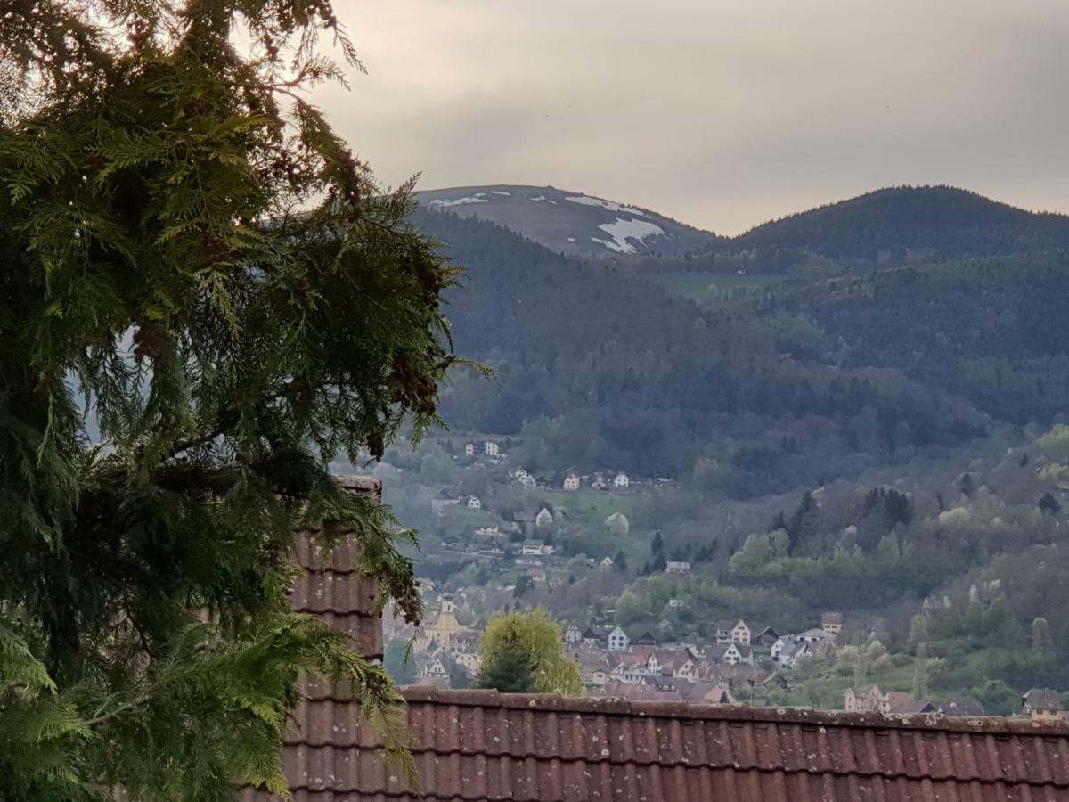 Petit Week End Dans La Vallee Breitenbach-Haut-Rhin Ngoại thất bức ảnh