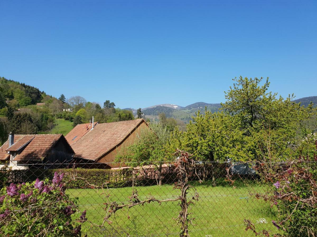Petit Week End Dans La Vallee Breitenbach-Haut-Rhin Ngoại thất bức ảnh