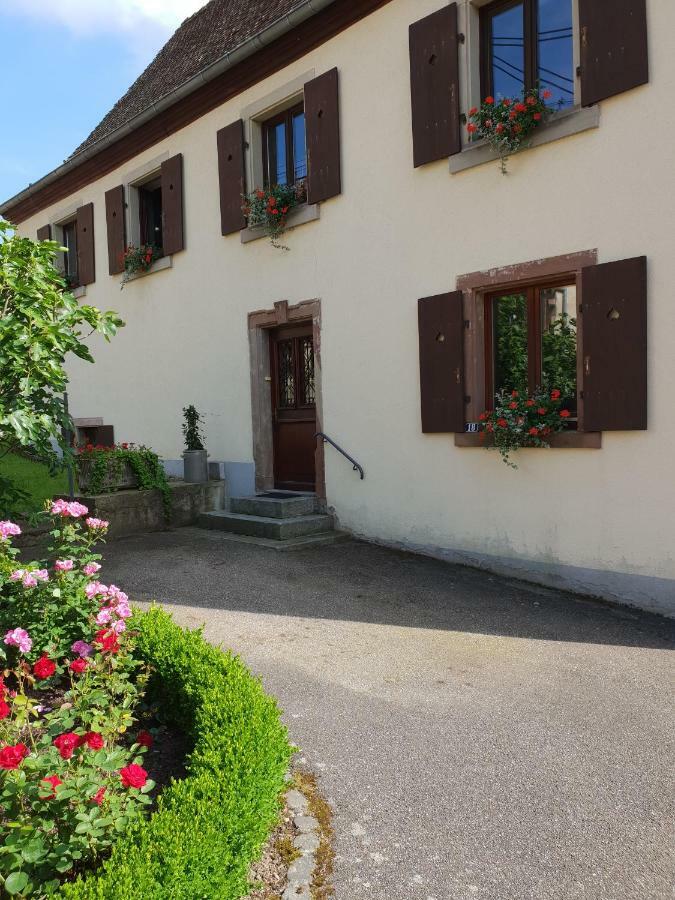 Petit Week End Dans La Vallee Breitenbach-Haut-Rhin Ngoại thất bức ảnh