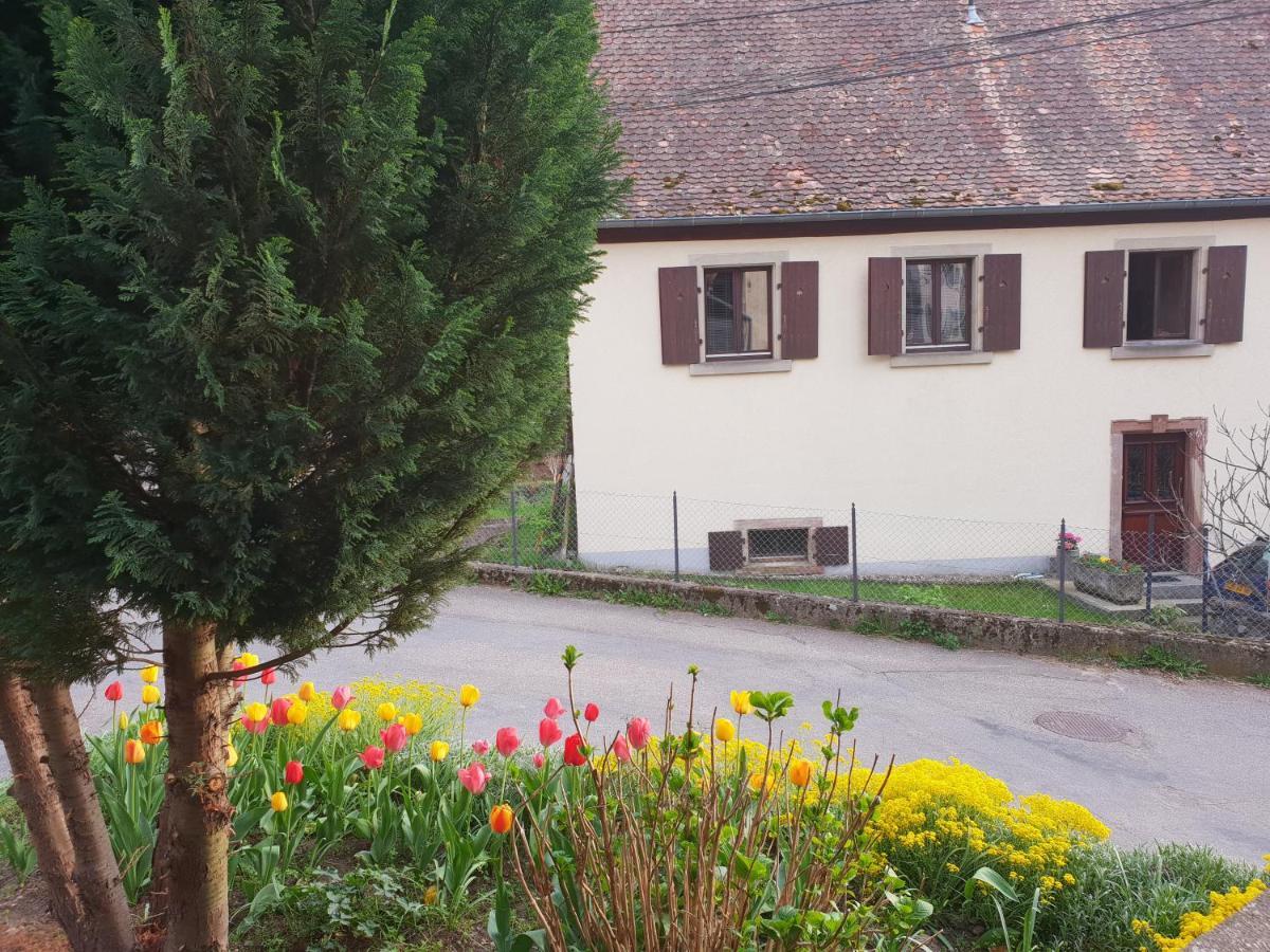 Petit Week End Dans La Vallee Breitenbach-Haut-Rhin Ngoại thất bức ảnh